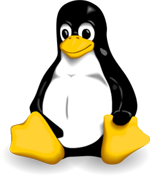 Linux unlimited Web Hosting
